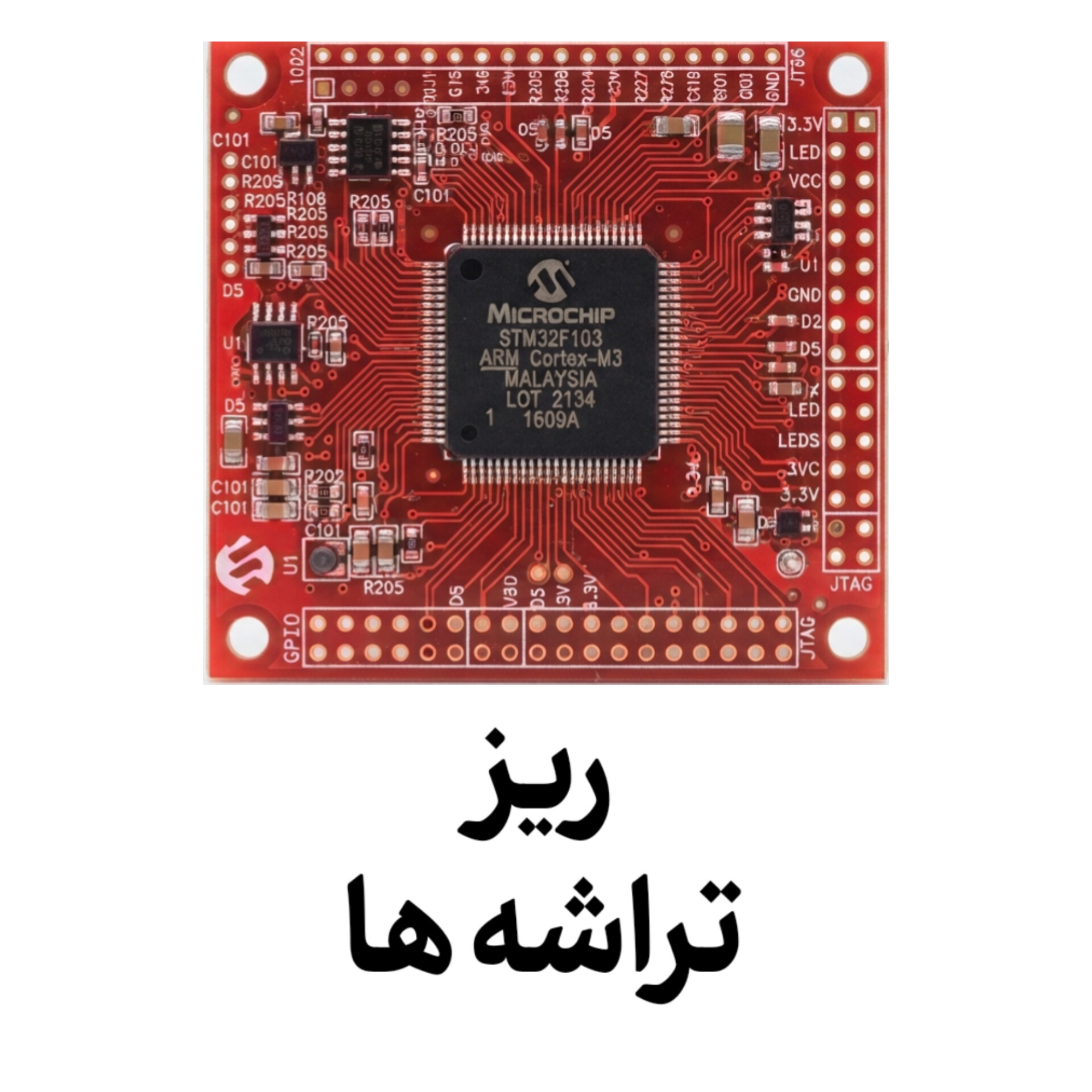 ریز تراشه ها